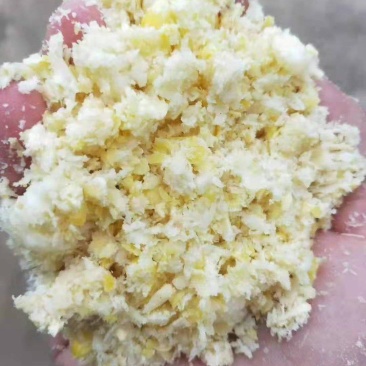 糯玉米熟玉米含糖量高营养成分高密封包装价格偏便