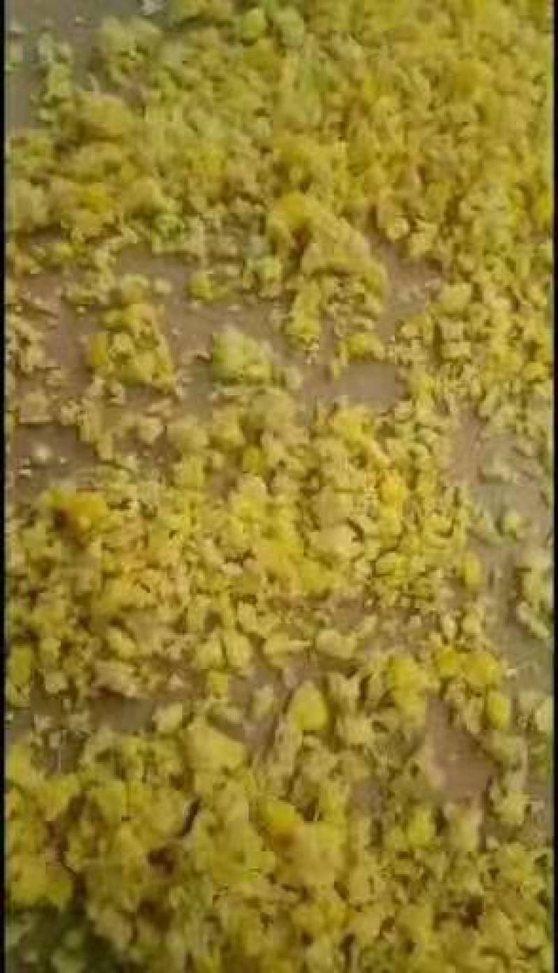 糯玉米熟玉米含糖量高营养成分高密封包装价格偏便
