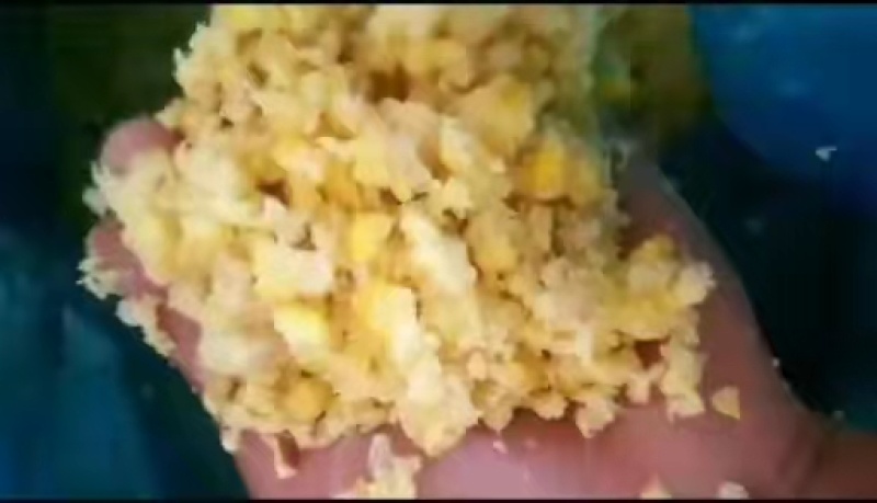 糯玉米熟玉米含糖量高营养成分高密封包装价格偏便