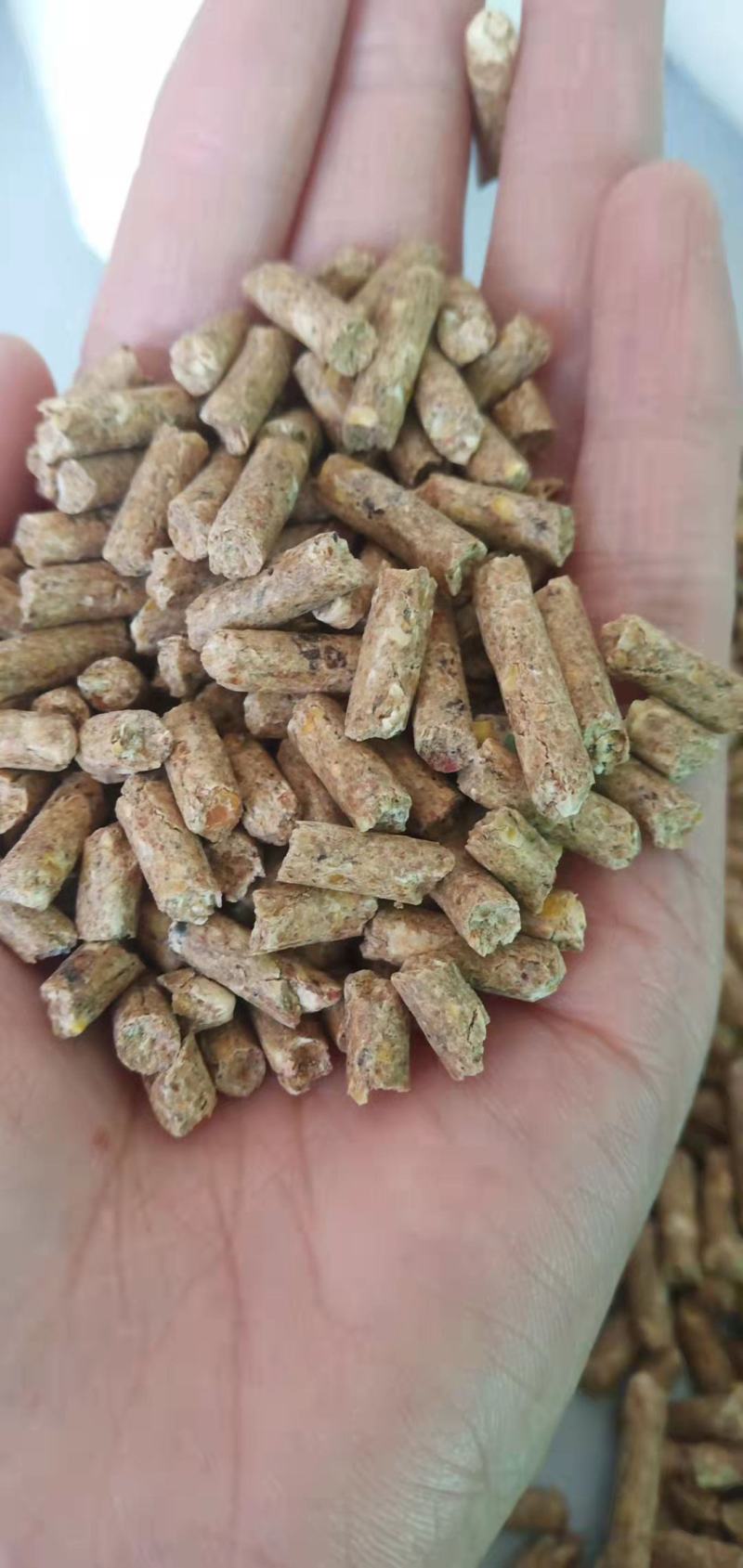 木颗粒生物质颗粒松木樟子松颗粒燃料热值高耐燃烧