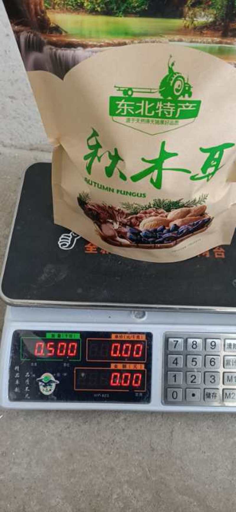 东北椴木黑木耳小碗耳秋耳肉厚柔滑