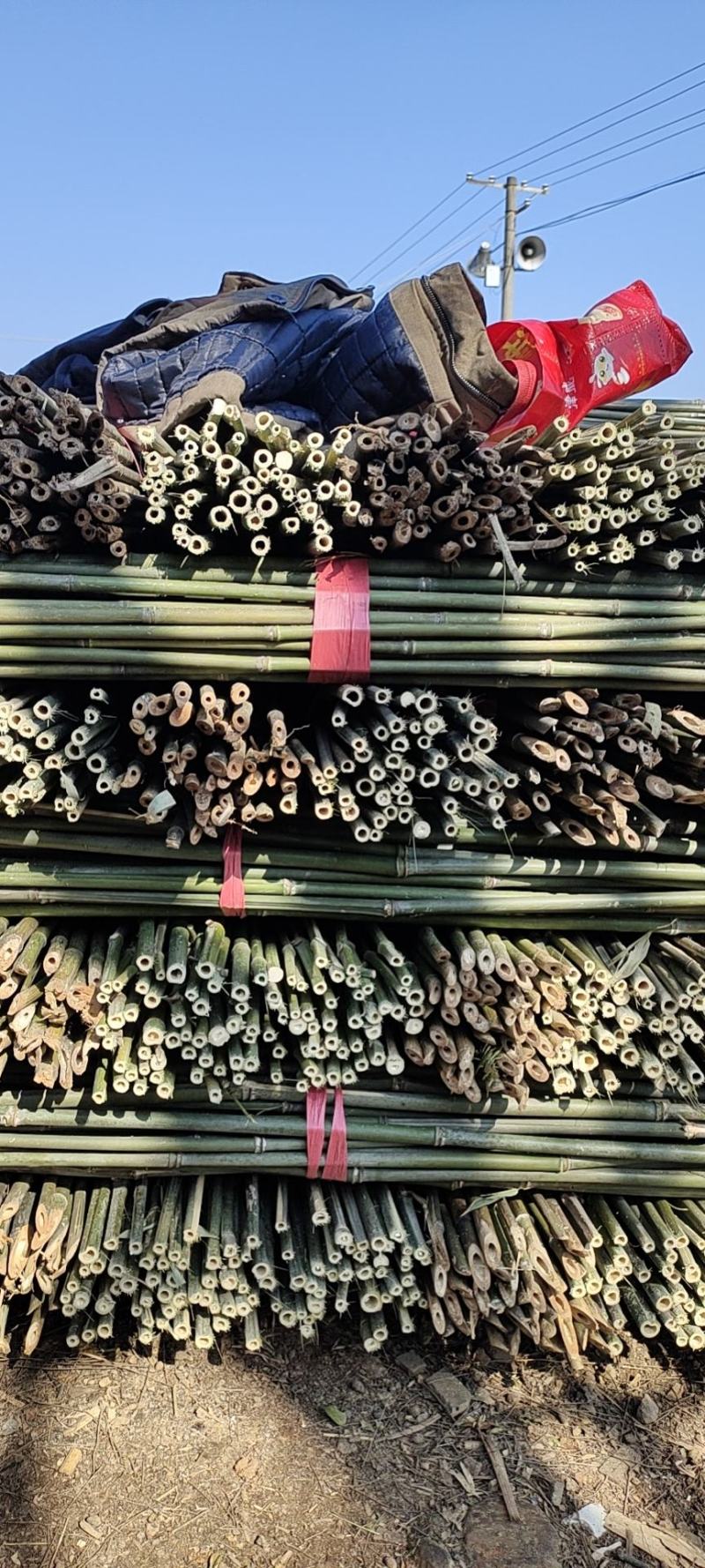精品菜架竹竿批发，冬瓜竹，货量充足欢迎选购！