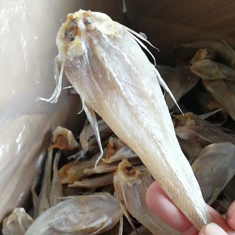 北海天然无头巴沙鱼干