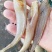 北海天然无头巴沙鱼干