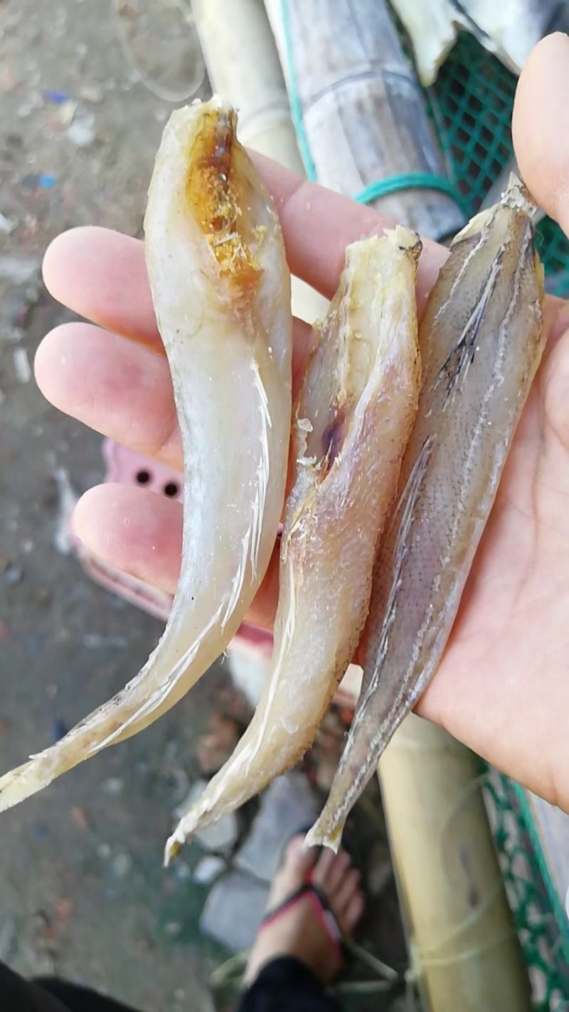 北海天然无头巴沙鱼干