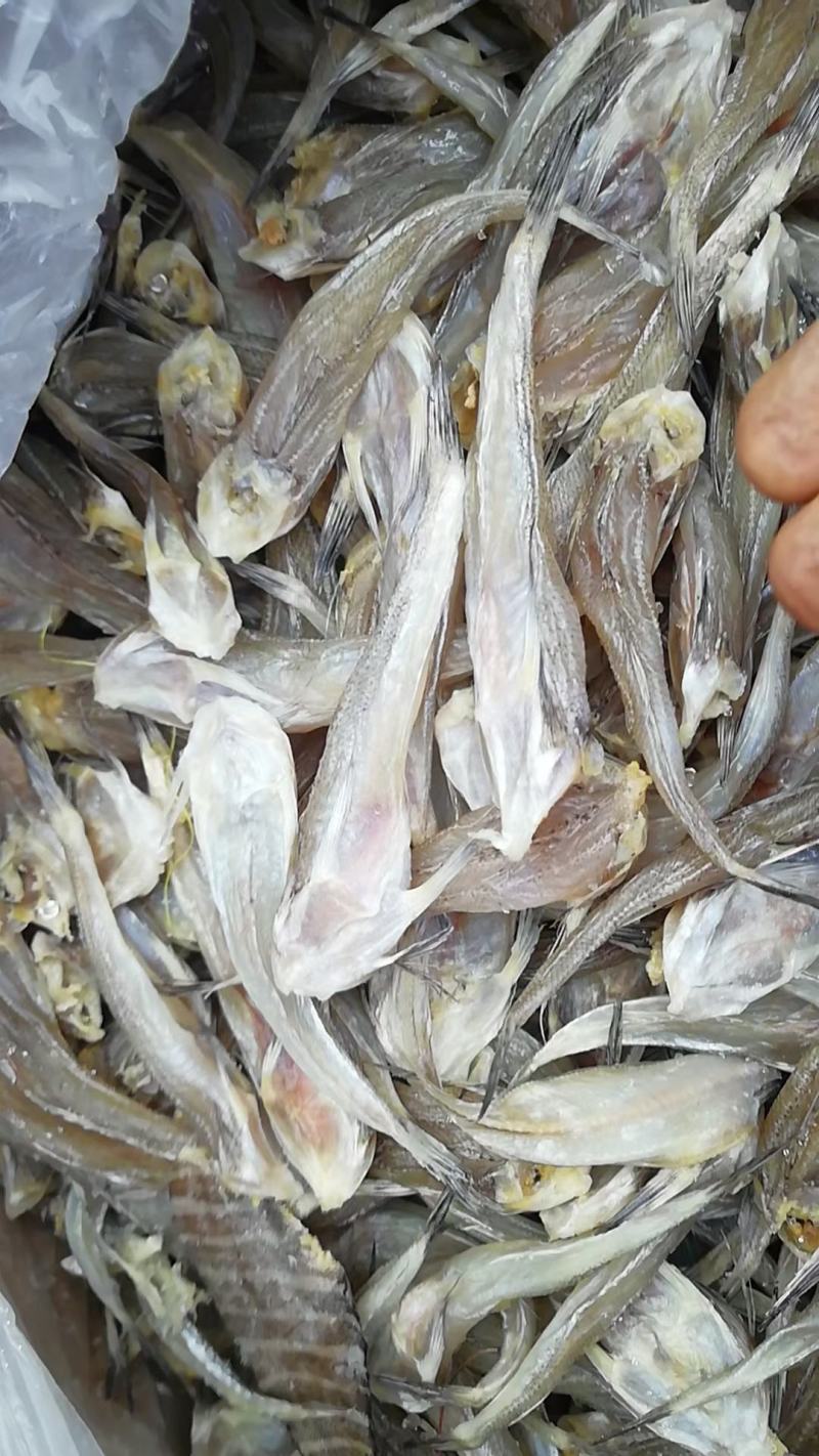 北海天然无头巴沙鱼干