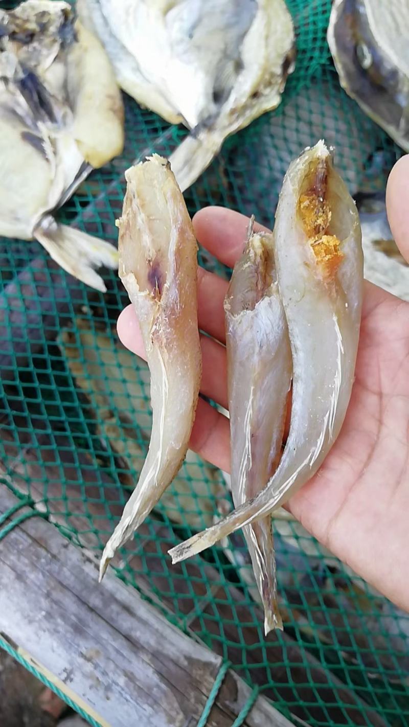 北海天然无头巴沙鱼干