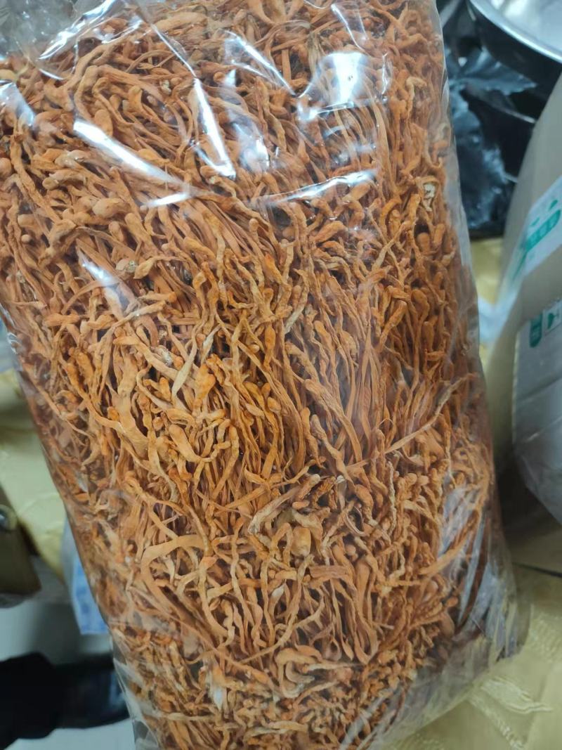 金虫草虫草花包邮中药材金虫草