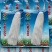 河北华穗万糯2000糯玉米种子棒型大口感糯性强抗病能力强