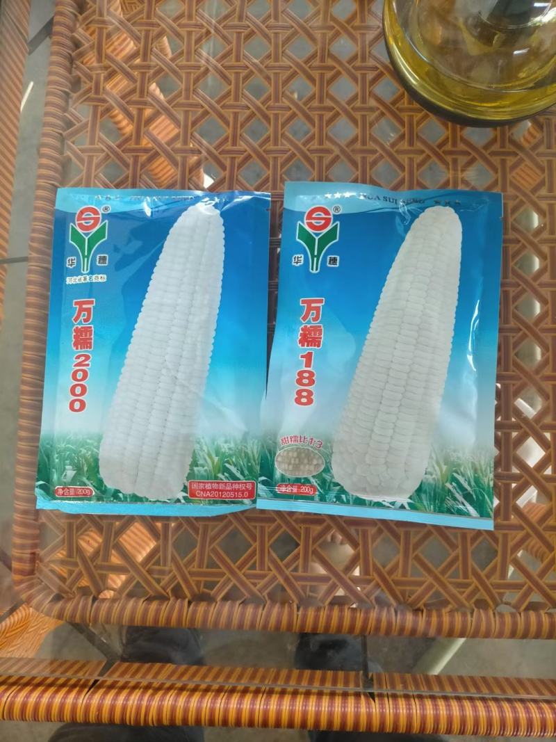 河北华穗万糯2000糯玉米种子棒型大口感糯性强抗病能力强