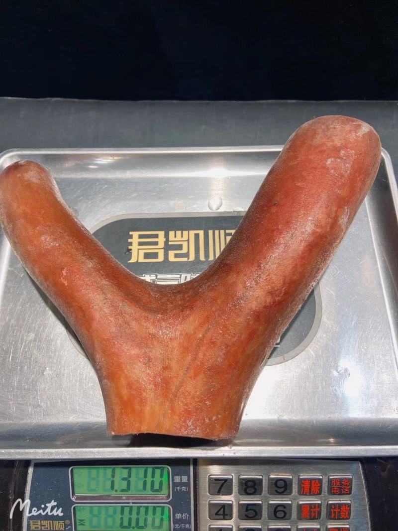 梅花鹿茸鲜鹿茸鹿乡鹿茸批发新鲜鹿茸鹿角泡酒煲汤
