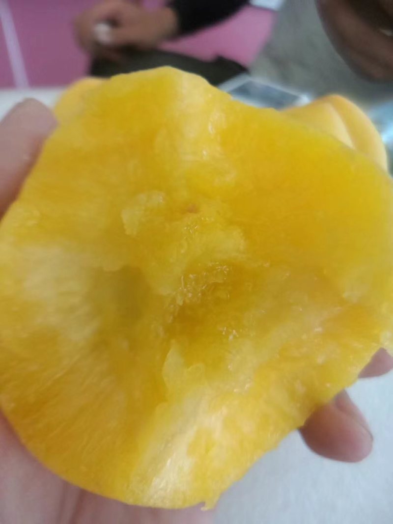 黄金蜜0桃，自己家苗圃基地培育的品种桃树苗。