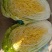 黄心白菜，青杂白菜，牛心包菜，茄子有袋子装，散装。