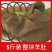 新鲜火锅食材5斤装牛黄喉商用牛心管麻辣烫冒菜水发免洗干净