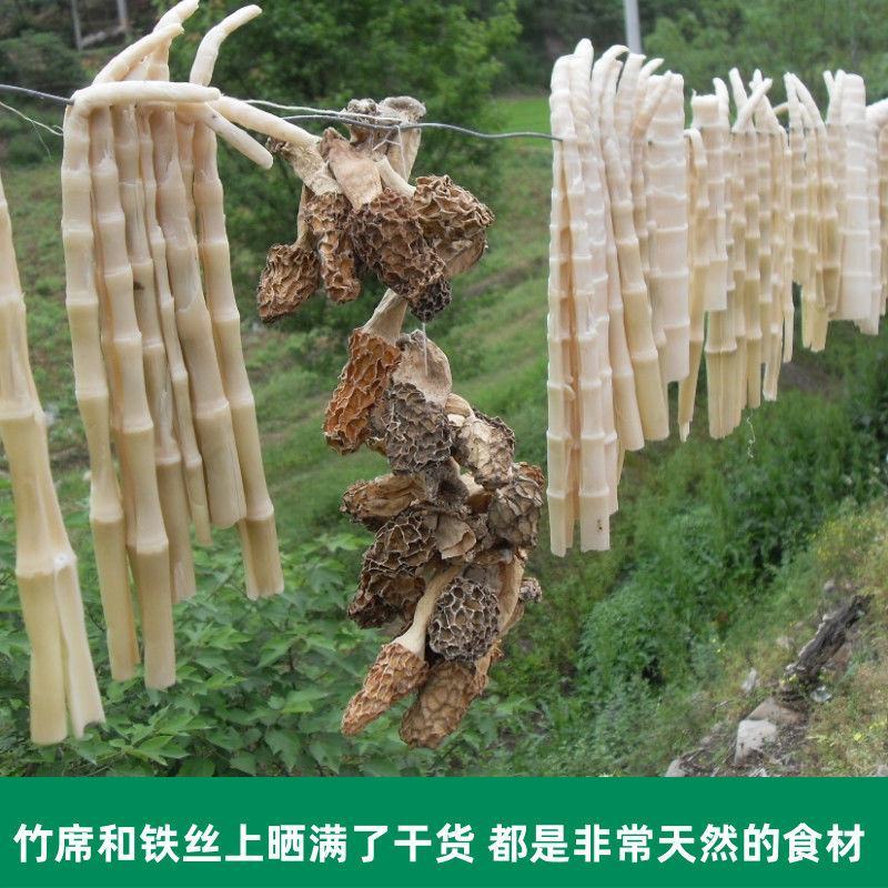 新货天然野生羊肚菌羊肚蘑菇