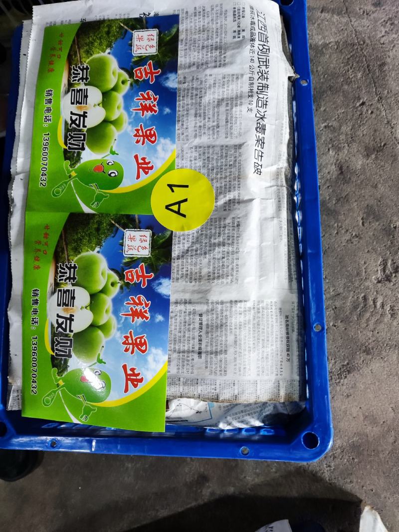 福建青枣牛奶枣贵妃枣苹果枣，大量批发供应社区团购代办代发