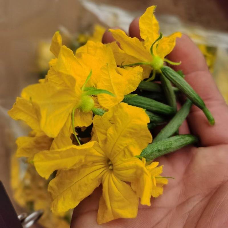 黄瓜花，精品黄瓜花，水果黄瓜花，批发，代发，无刺小黄瓜花