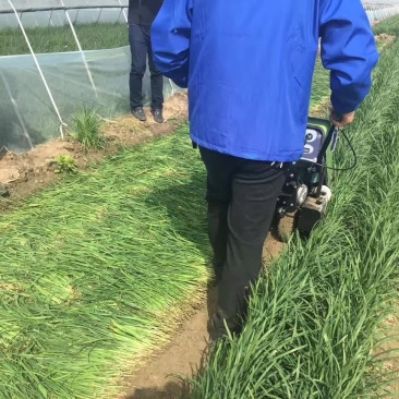 全自动韭菜收割机油菜韭菜留岔高低可调自走式收获