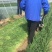 全自动韭菜收割机油菜韭菜留岔高低可调自走式收获