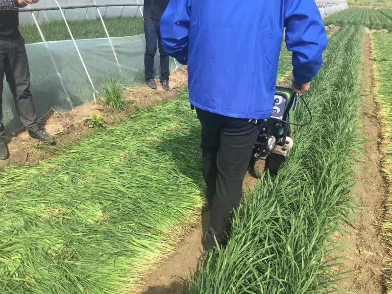 全自动韭菜收割机油菜韭菜留岔高低可调自走式收获
