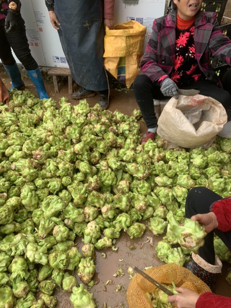 榨菜基地大量有货：有需要的老板欢迎随时联系