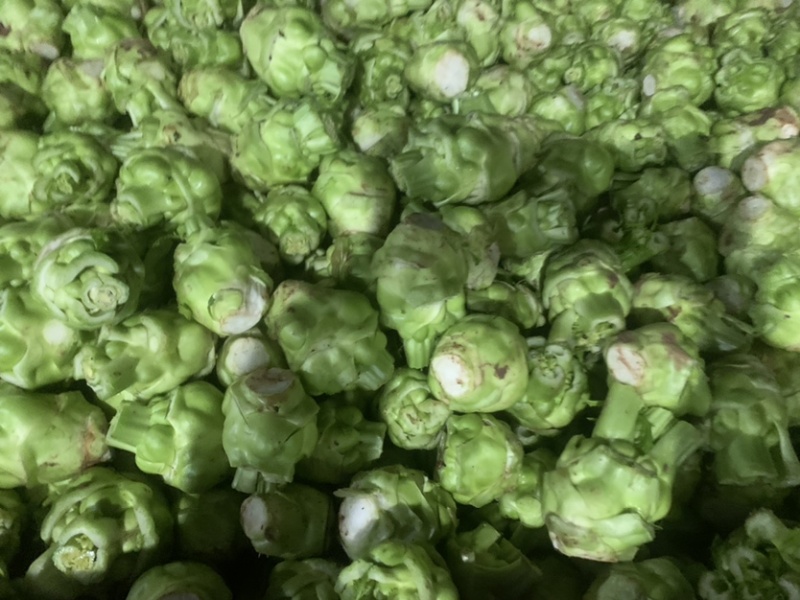 榨菜基地大量有货：有需要的老板欢迎随时联系