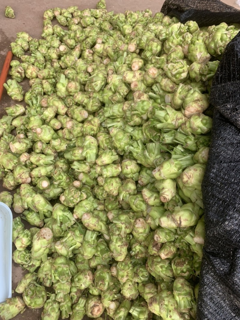 榨菜基地大量有货：有需要的老板欢迎随时联系