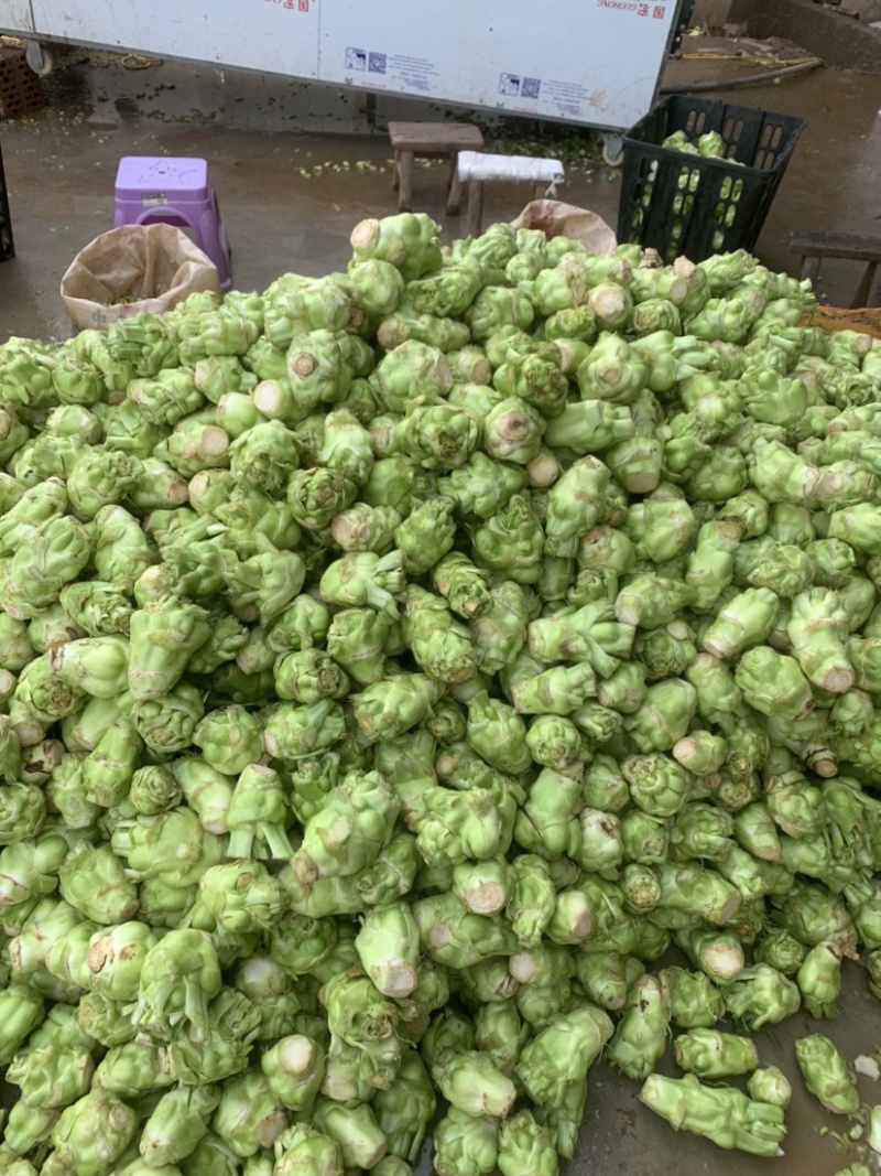 榨菜基地大量有货：有需要的老板欢迎随时联系
