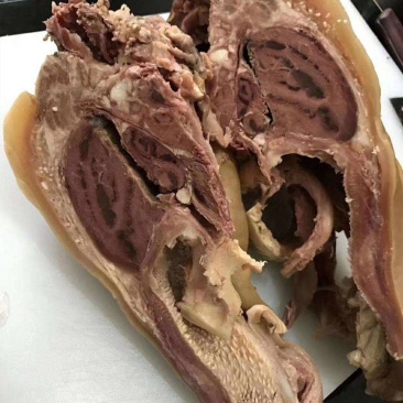 熟牛头