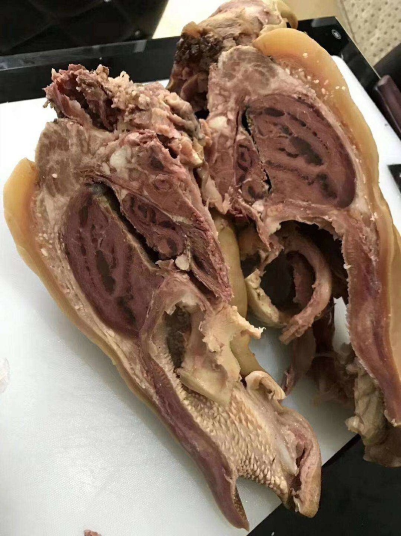 熟牛头