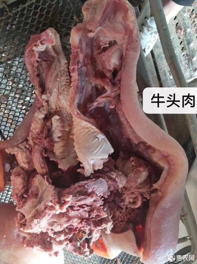 熟牛头