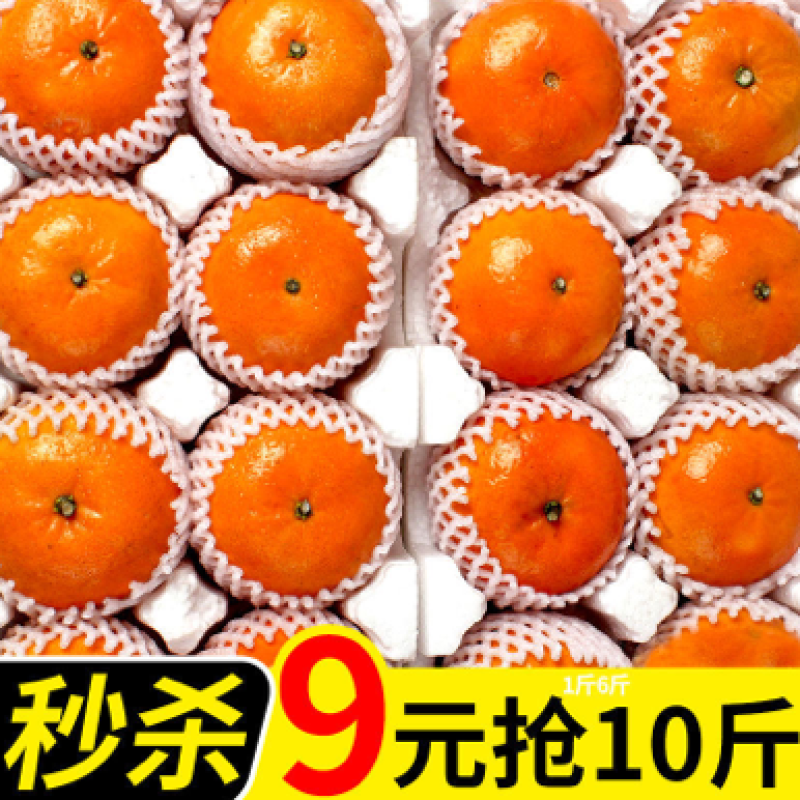 广西武鸣沃柑橘子10斤装一箱包邮新鲜水果一件代发