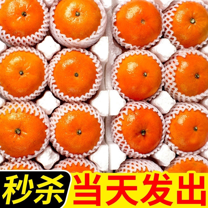 广西武鸣沃柑橘子10斤装一箱包邮新鲜水果一件代发