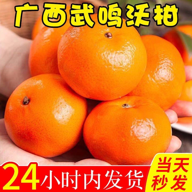 广西武鸣沃柑橘子10斤装一箱包邮新鲜水果一件代发