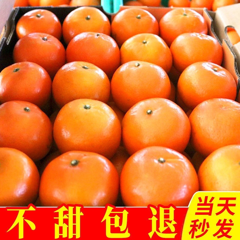 广西武鸣沃柑橘子10斤装一箱包邮新鲜水果一件代发