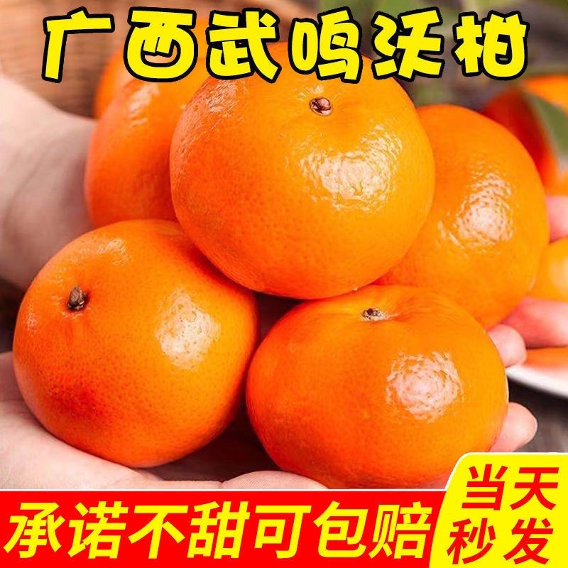 广西武鸣沃柑橘子10斤装一箱包邮新鲜水果一件代发