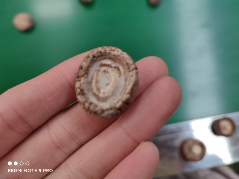 包邮精选干香菇250克小袋装，送礼、福利佳品，包邮到家。