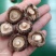 包邮精选干香菇250克小袋装，送礼、福利佳品，包邮到家。
