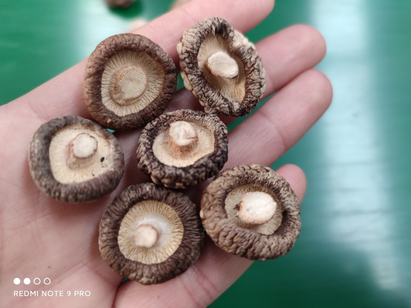 包邮精选干香菇250克小袋装，送礼、福利佳品，包邮到家。