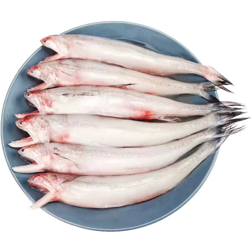 批发海鱼龙头鱼棉花鱼豆腐鱼便宜烧烤无小刺