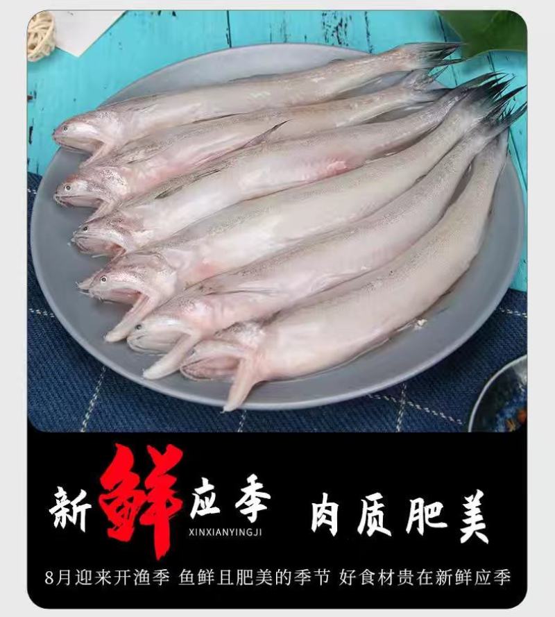 批发海鱼龙头鱼棉花鱼豆腐鱼便宜烧烤无小刺