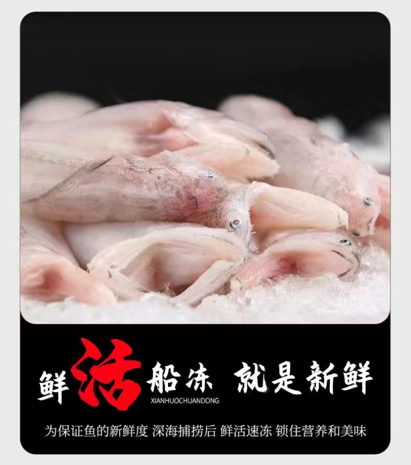 批发海鱼龙头鱼棉花鱼豆腐鱼便宜烧烤无小刺