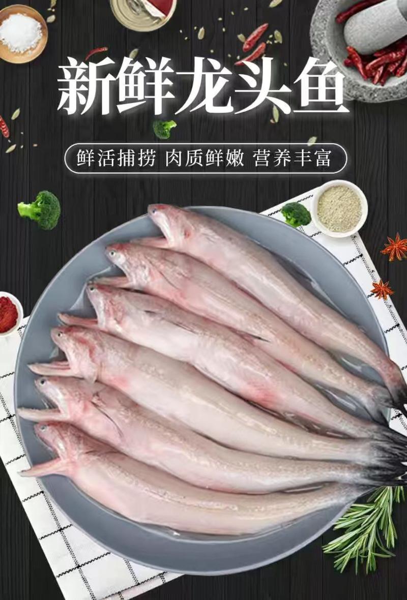 批发海鱼龙头鱼棉花鱼豆腐鱼便宜烧烤无小刺