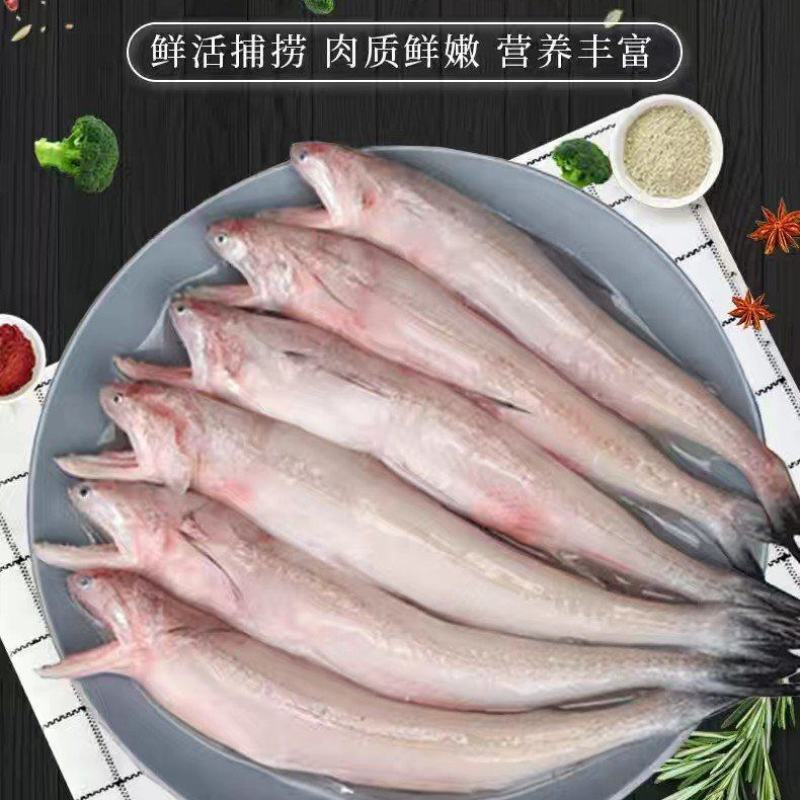 批发海鱼龙头鱼棉花鱼豆腐鱼便宜烧烤无小刺