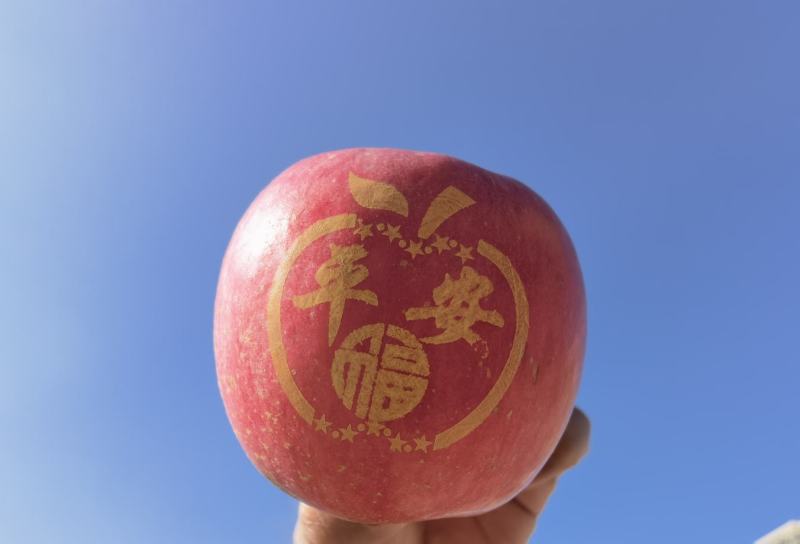 圣诞节平安果印带字苹果带字苹果晒字苹果一件代发