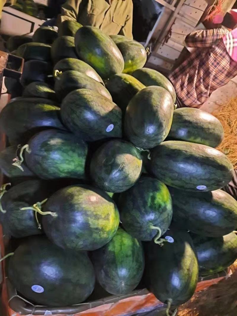 推荐热销黑美人西瓜，精品市场大瓜，电商团购小瓜大量出货