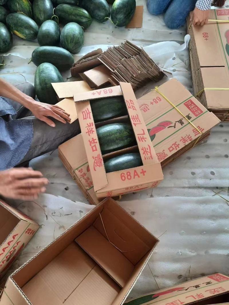 推荐热销黑美人西瓜，精品市场大瓜，电商团购小瓜大量出货