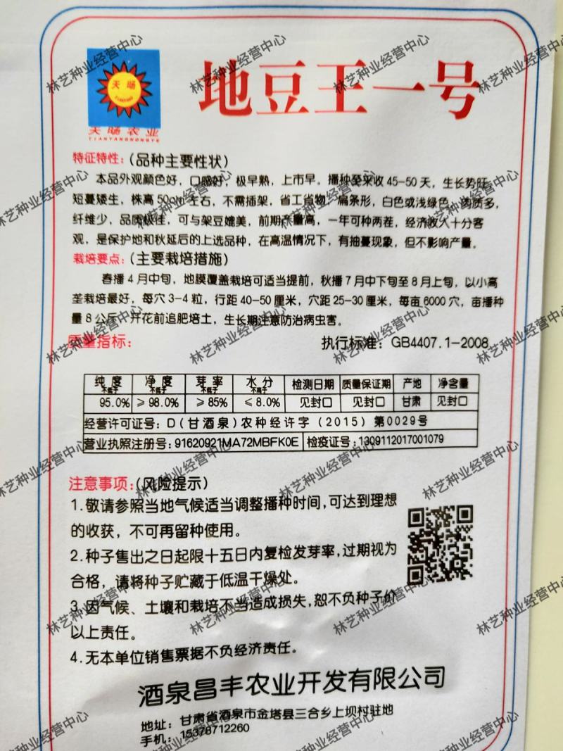 地豆王一号种子无架地豆种子菜豆早熟高产抗病四季豆种子