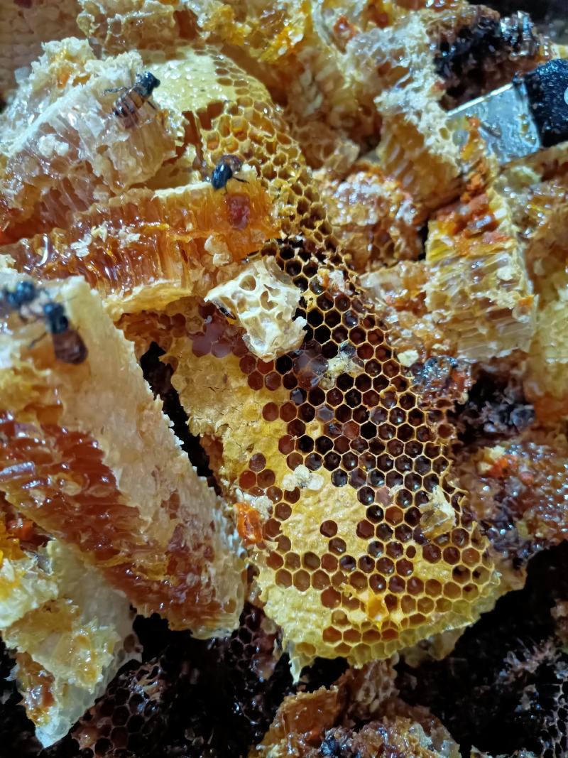 有需要野生中蜂土冬蜜的找我。全部都是大山里现找现挖的。