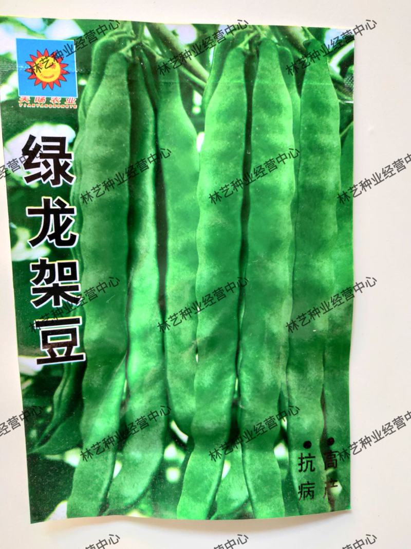 绿龙架豆种子早熟高产春季耐老化无筋特嫩芸豆大荚
